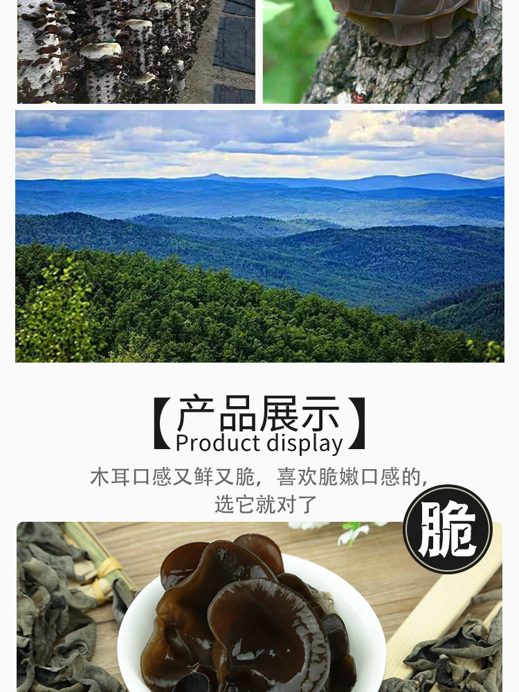 极境寒养木耳详情页_04.jpg