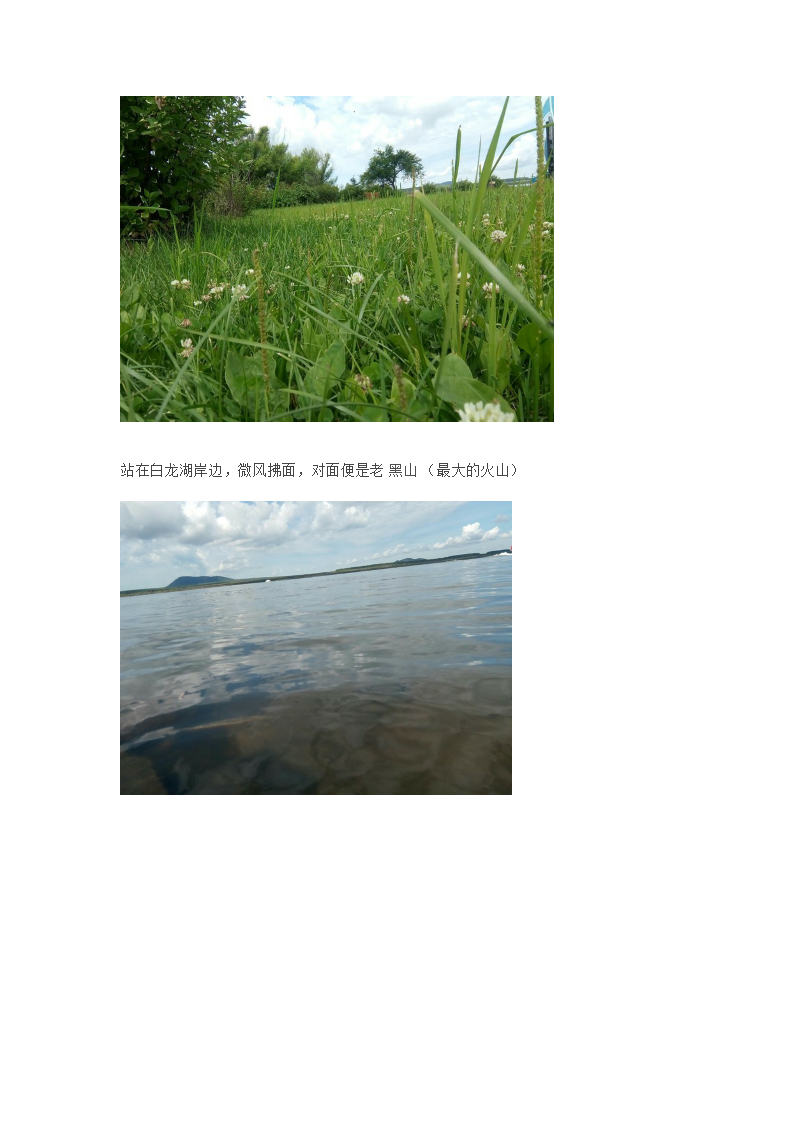 5.png_0008.png
