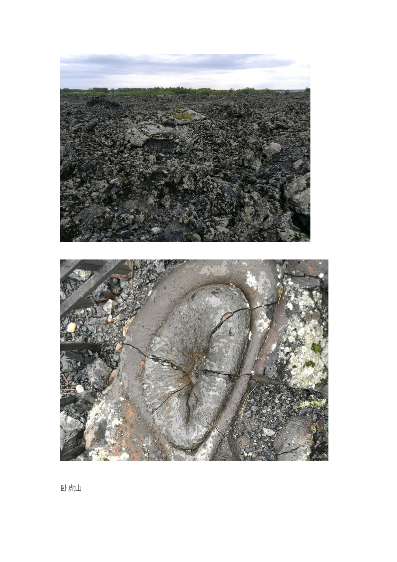 6.png_0012.png