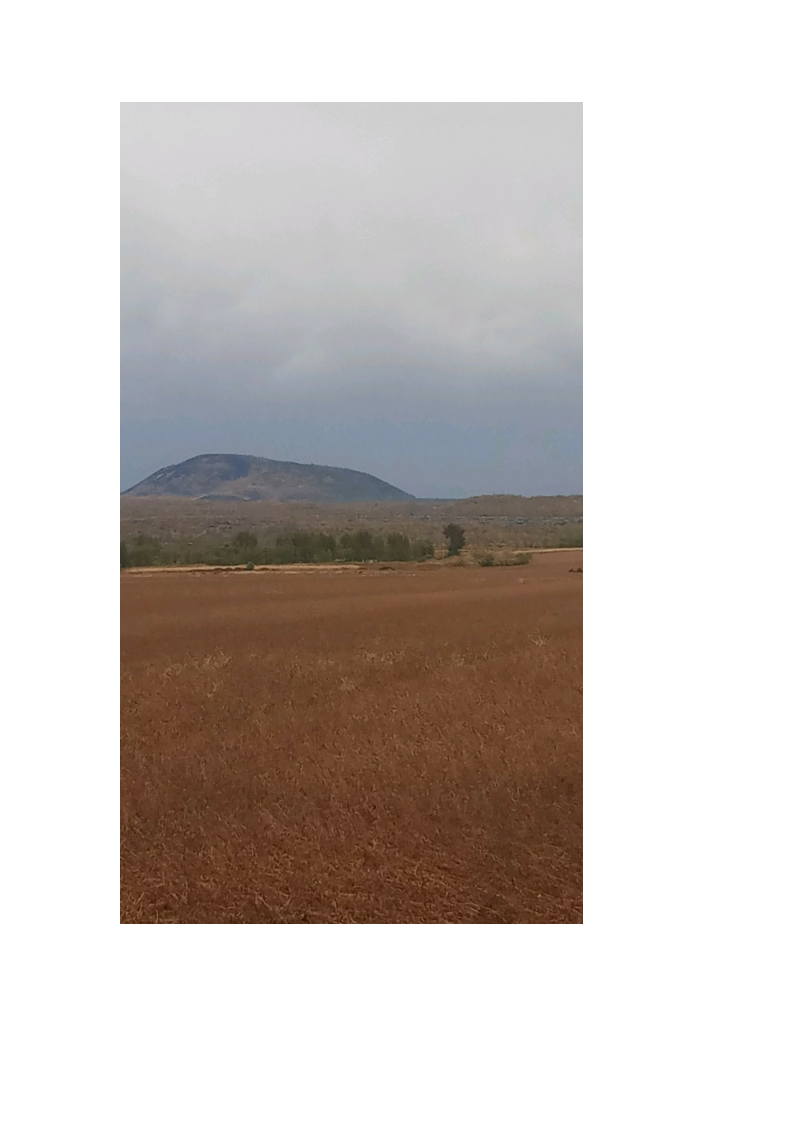6.png_0016.png